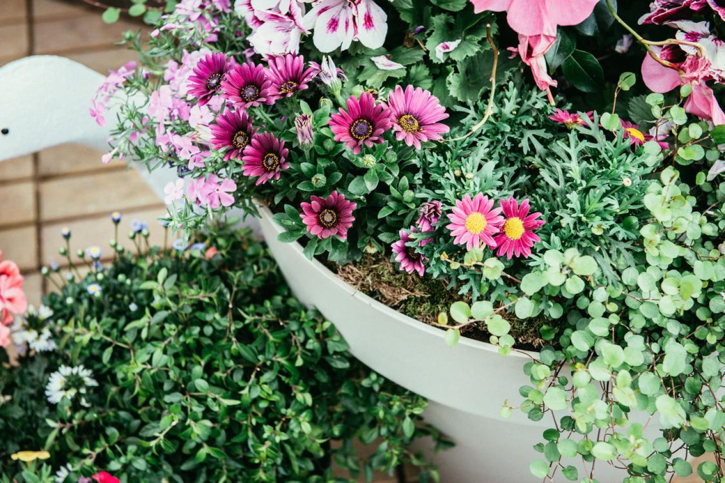 Blumen Haunert