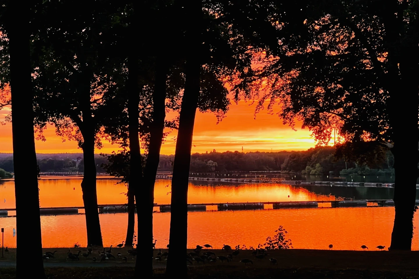 Jupp am See – Biergarten