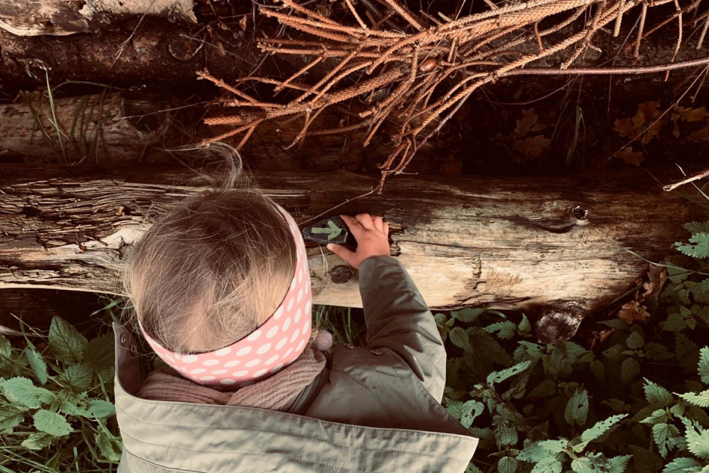 Halterner Kinder