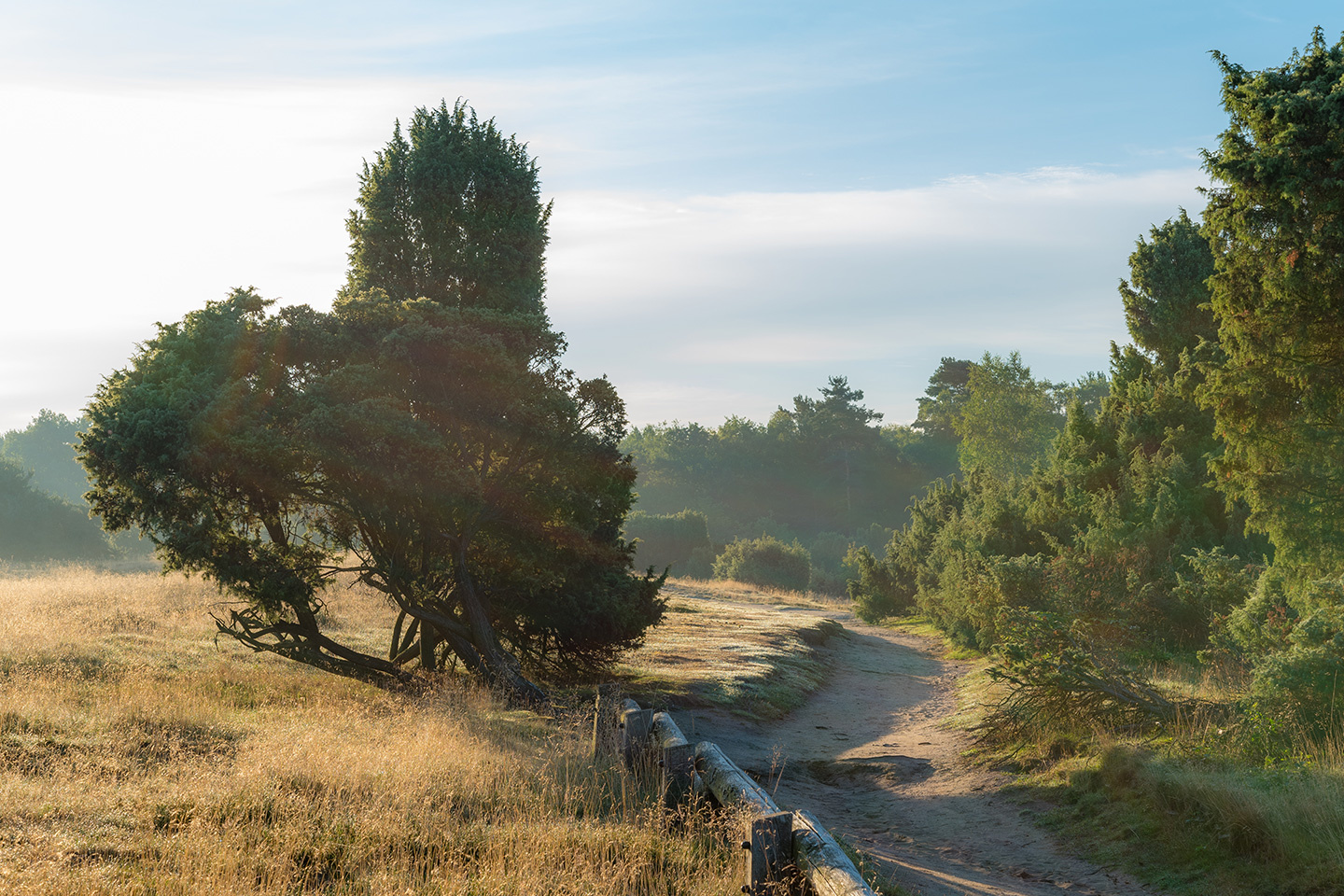 Westruper Heide